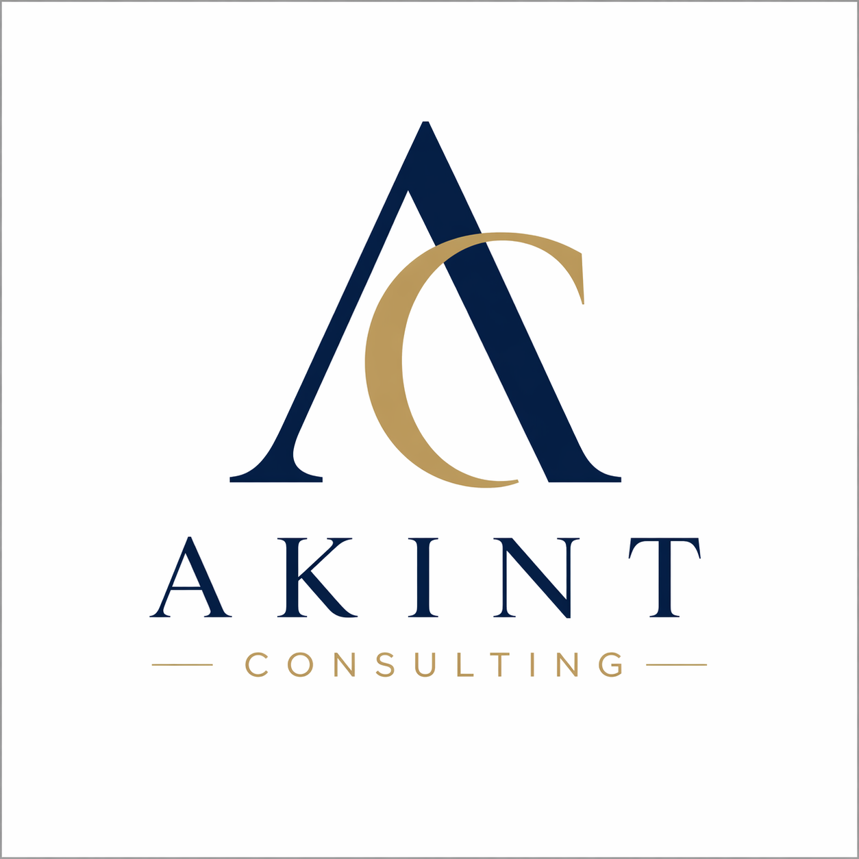 Akint Consulting